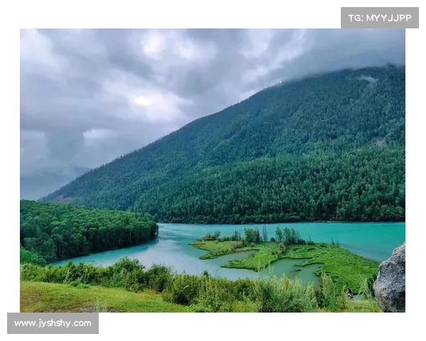沼光湖的迷雾与传说探索神秘之地的无尽魅力 沼光湖的迷雾与传说探索神秘之地的无尽魅力