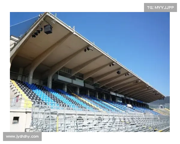 如何推动意甲俱乐部建设现代化新球场提升竞技水平与经济效益