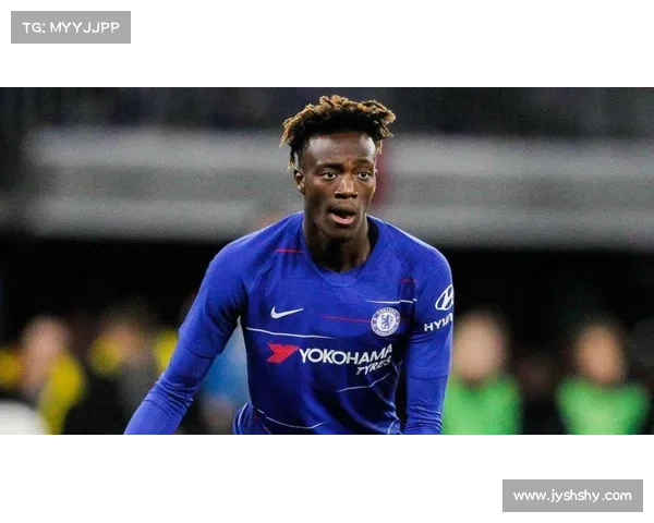 巴舒亚伊能说哪些语言及其多语能力全方位解析与文化背景探讨